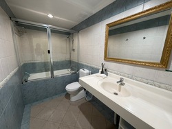 Ridgewood (D10), Condominium #523527821